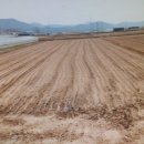 순천인안초등학교 이미지