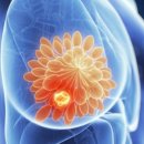 외송물산 이미지