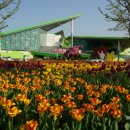 국제문화교류관 야외정원 이미지