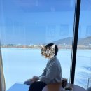 바나타이거직산성환점 | 천안 입장면 저수지뷰 대형카페 벨체스