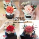 플레르망고충주 이미지