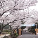 애월고등학교 이미지