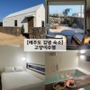 농업협동조합 A동(하나로마트 자갈치점) | 제주 동쪽 김녕 자쿠지 독채 숙소에서 힐링한 고양이수염 B동 솔직후기