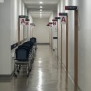 메이트 태권도 | 🥋 태권도 사범 자격증 구술시험 후기｜시험 절차 &amp; 공부 방법