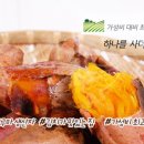 청솔김치