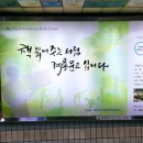 계룡홈닥터의원 이미지