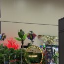 아산선운산작은도서관 | 14개월 아기랑 다녀온 ‘아산-공룡 월드’ 후기 🦖