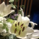 소소한사치 이미지