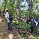 우면산둘레길 이미지