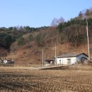 신읍리율대 네이버블로그