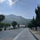 대율초등학교 | [캠핑장] 한밤 솔담길 캠핑장 | 군위, 대구 근교 이색 캠핑장 후기
