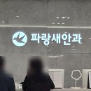 광주 파랑새안과 백내장 비용 후기 보험청구 서류 정리