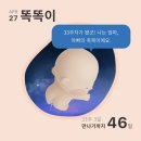 임신일기(33주~36주)