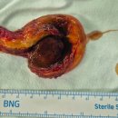 서정일내과의원 이미지