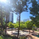 현대환경개발 | “연식 있지만 여전히 깔끔✨ 신당현대아파트 솔직 후기 + 재개발 추진 소식까지”