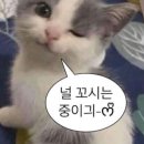 정영희「무제」 | [영화 리뷰] 평범함과 추함의 아이러니, 영화 &#39;얼굴&#39; 리뷰