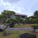 숲 펜션 이미지