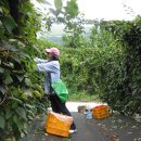 박종훈농장 이미지