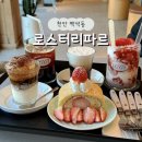 착한언니 애견살롱 | 천안 백석동카페 로스터리파르 애견동반 가능한 디저트맛집