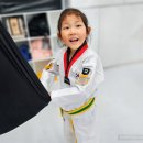 경희대 품태권도장 이미지