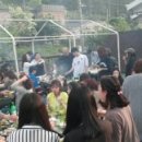 중앙애견 이미지