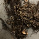 장군마을5길 이미지