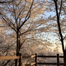 도당중 | { 부천/도당 } MZ세대 맞춤 특강! - 아마레피아노 3월 <레코딩 특강>