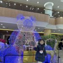 강원도 고성 가족여행 숙소 후기: 울산바위 뷰가 멋진 ‘델피노 리조트’
