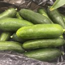 장주혜치과의원 이미지