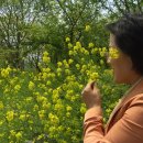 하남초등학교 이미지