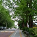 비노하우스더포레스트
