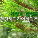 산야초 이미지