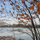 산책가는길 이미지