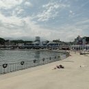 대포항횟집 - 춘천시 성심로 37 | 대포항횟집