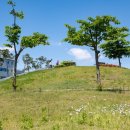 의료법인고색의료재단 이미지