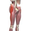 몸바른한의원 이미지