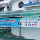 물고기수산 이미지