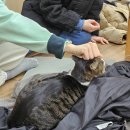 피닉스클럽 이미지