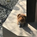 경주 예카 추천 &lt;프롬상록&gt;