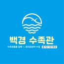 로얄수족관 이미지