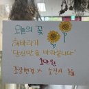 안온 플라워