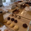 온다ONDA, 동해 이미지