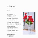사은 Daum카페