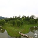 서울숲7 이미지