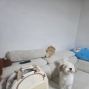 정자공원 | 2025 김천김밥축제 못 간 후기