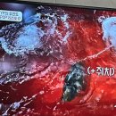 경춘로1256번길1R | 평내호평 배달 횟집 추천, THE 바다마켓 평내호평점