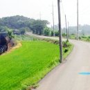 화옹지구공인중개사사무소 이미지