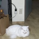 혜찬하우스