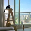 술상차리는남자 | 6/12~6/18 일상
