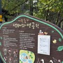 가원습지생태자연공원 | 동해 아기랑 가볼만한곳, 가온습지생태자연공원 어린이놀이터와 피크닉